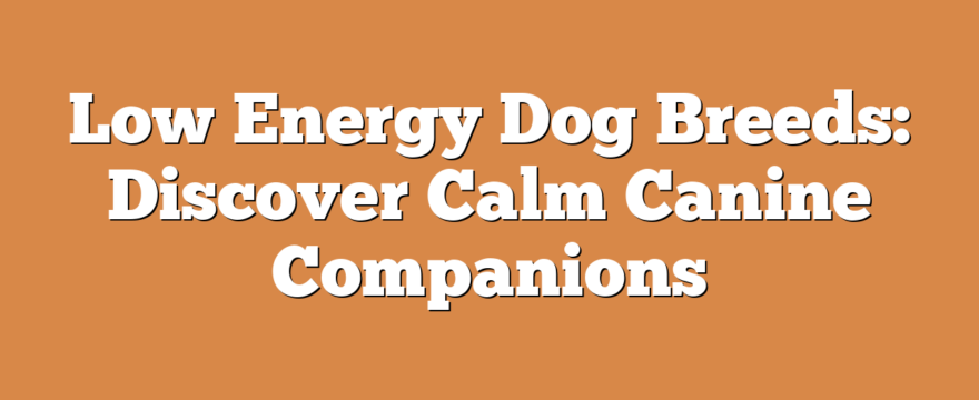 Low Energy Dog Breeds: Discover Calm Canine Companions