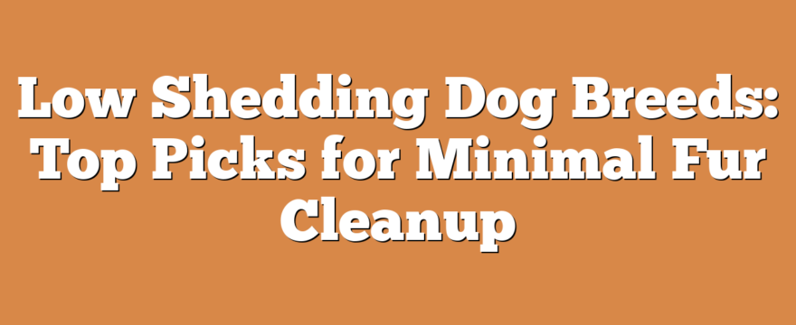 Low Shedding Dog Breeds: Top Picks for Minimal Fur Cleanup