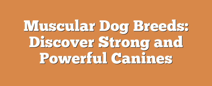 Muscular Dog Breeds: Discover Strong and Powerful Canines