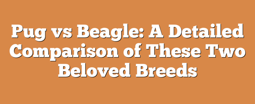 Pug vs Beagle: A Detailed Comparison of These Two Beloved Breeds